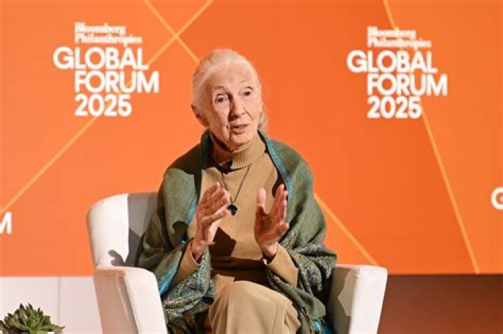 
Is Jane Goodall Dead Or Alive In 2022? Know Where The Primatologist Is Now 
