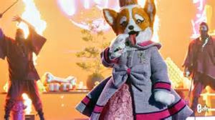
Queen Of Hearts Masked Singer Age, Birthday, Wikipedia, Who, Nationality, Biography 