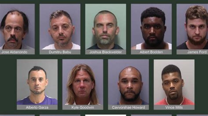 Who Is Anna Ray? James Earl Ray Wife Arrested On Multiple Count Of Animal Cruelty, What Did She Do?